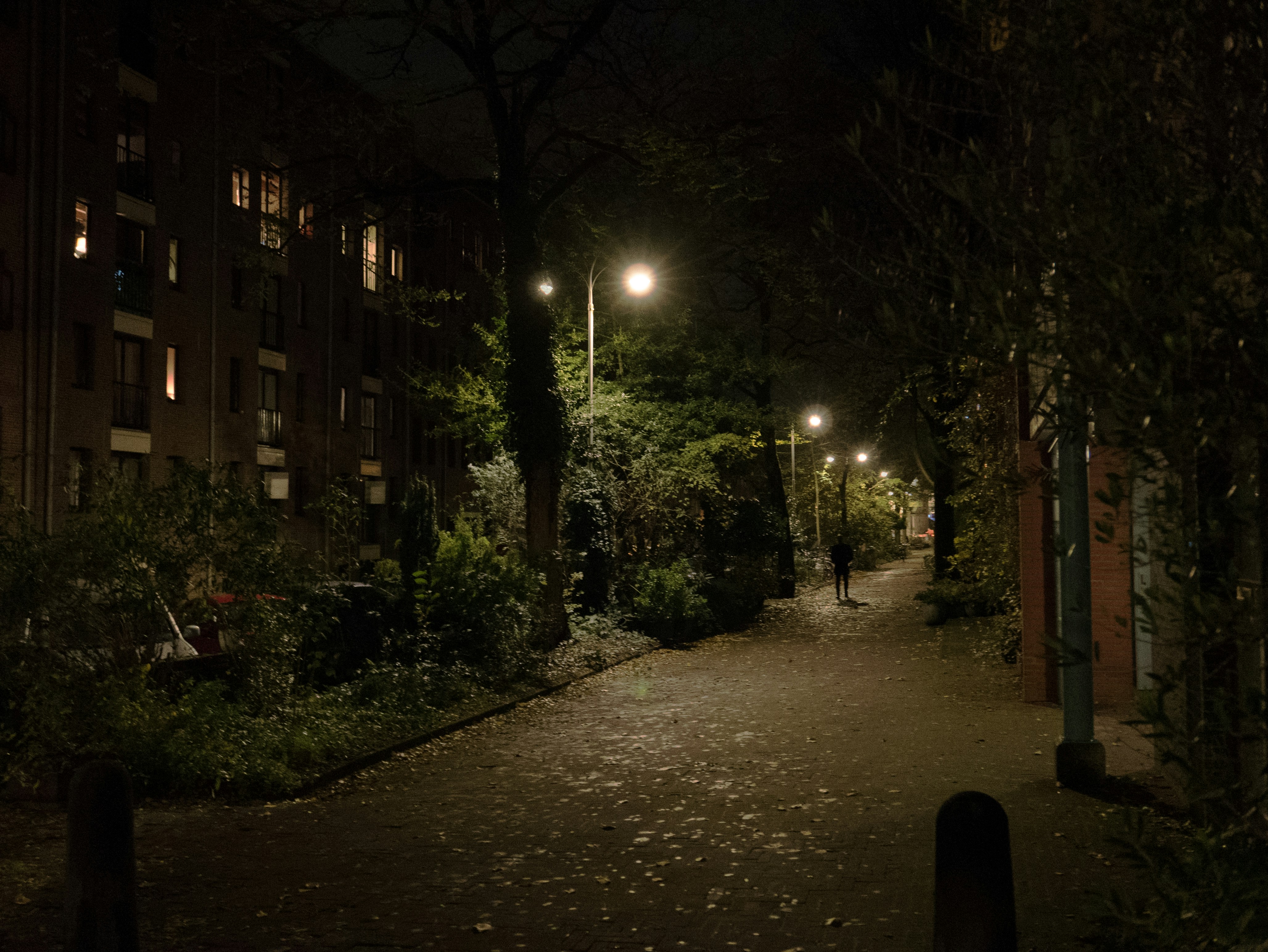 Early darkness on day six of The Evenings
